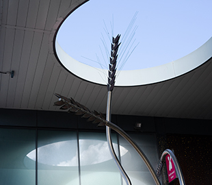 A metal sculpture of Barley in Cheltenham