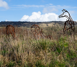 A kangaroo made from sculpted steel bars