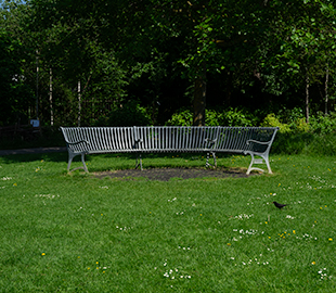 A curved metal bench