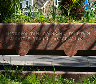 An old drinking trough being used as a planter