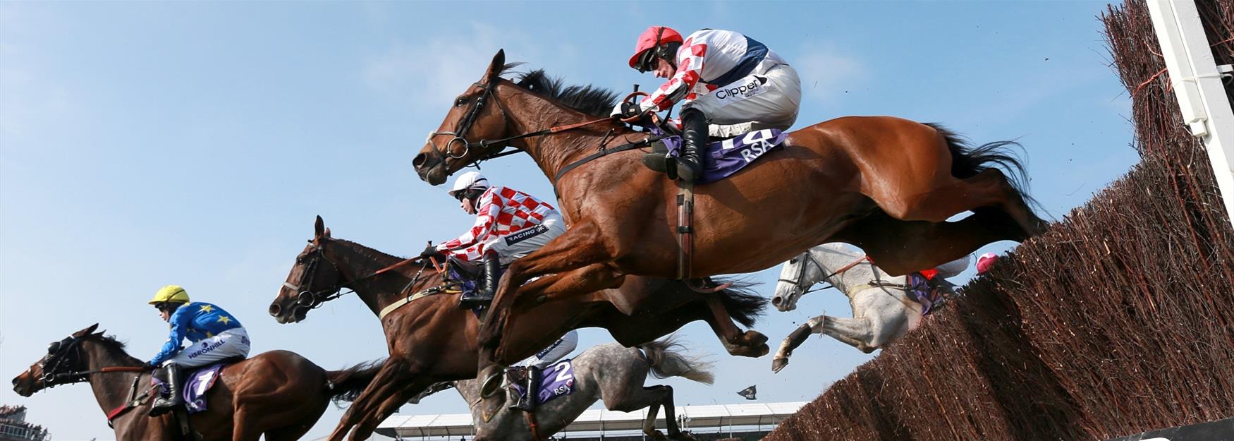 Close up of horses jumping a fence at Cheltenham racecourse