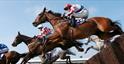 Close up of horses jumping a fence at Cheltenham racecourse